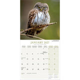 Otter House Owls Wall Calendar 2027