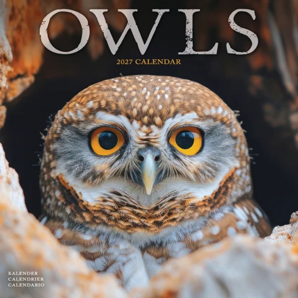 Otter House Owls Wall Calendar 2027