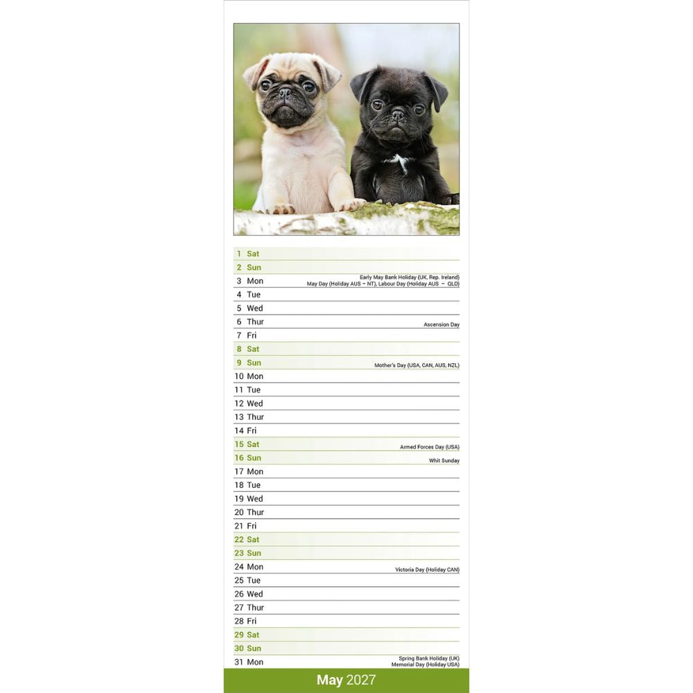 Otter House Pug Slim Calendar 2027