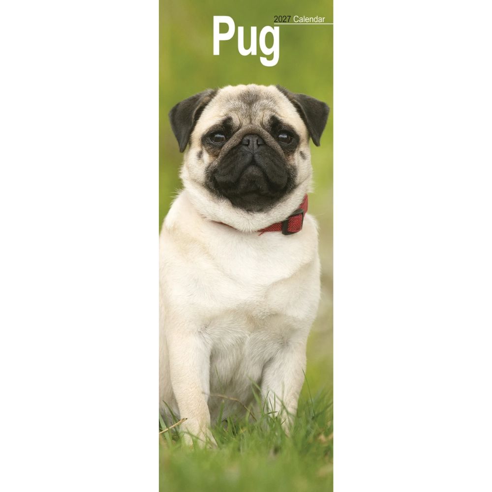 Otter House Pug Slim Calendar 2027