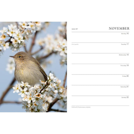 Otter House RHS Wild in the Garden Diary 2026