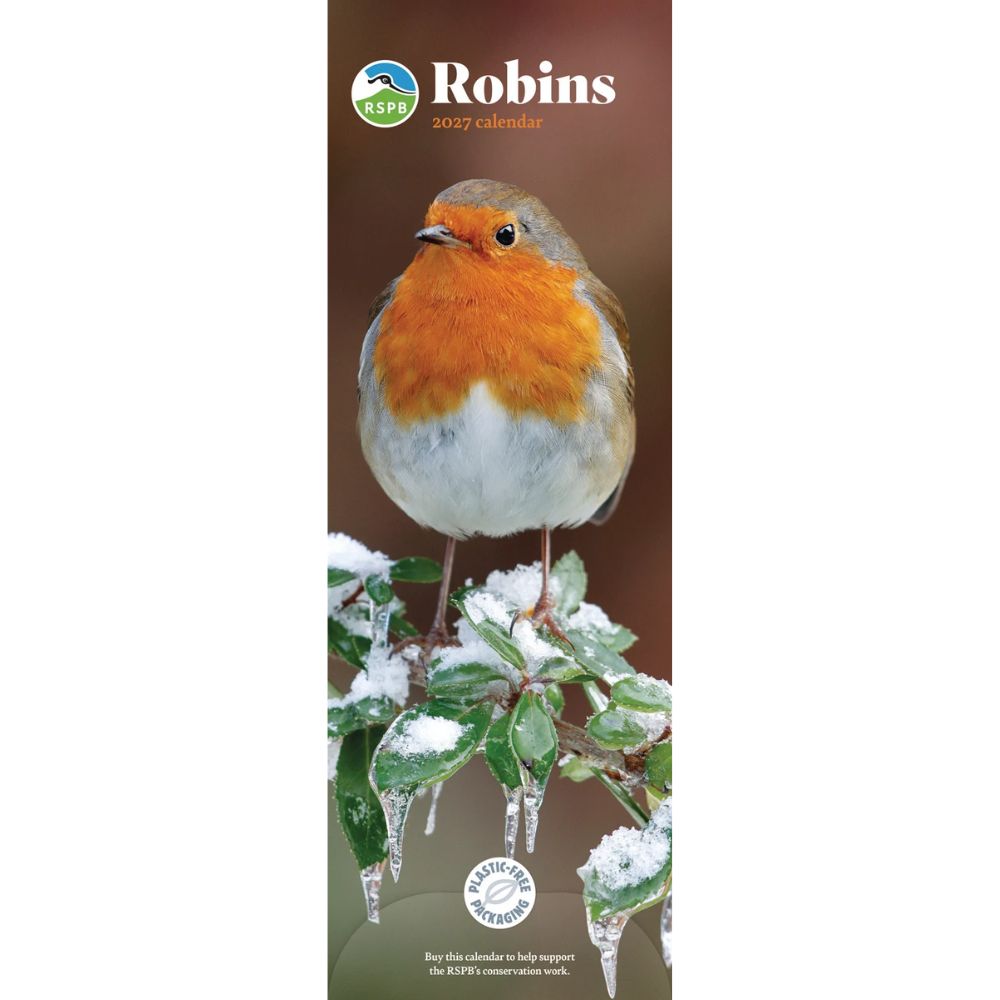 Otter House Robins RSPB Slim Calendar 2027