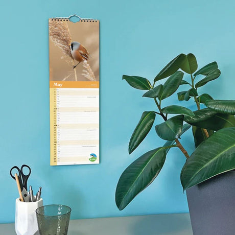 Otter House RSPB Birds Slim Calendar 2026