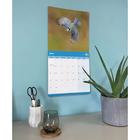 Otter House RSPB Garden Birds Wall Calendar 2026