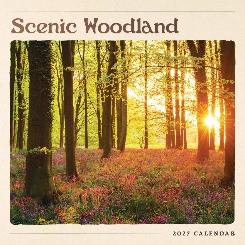 Otter House Scenic Woodland Wall Calendar 2027