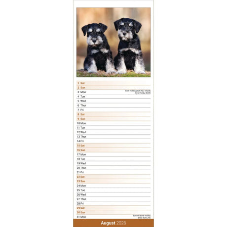 Otter House Schnauzer Slim Calendar 2026