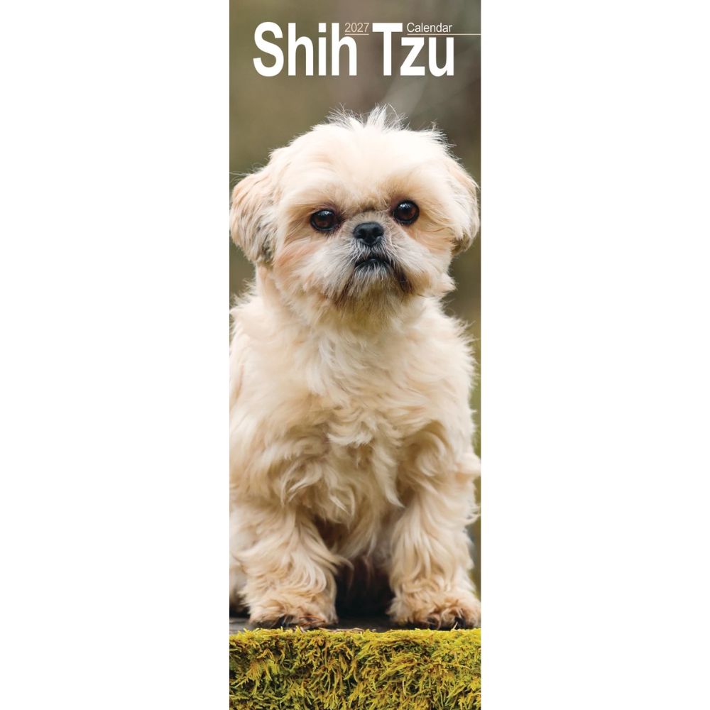 Otter House Shih Tzu Slim Calendar 2027
