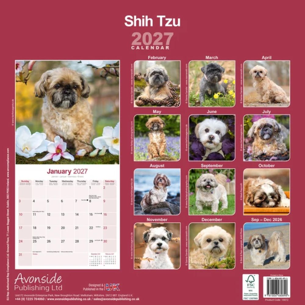 Otter House Shih Tzu Wall Calendar 2027
