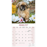 Otter House Shih Tzu Wall Calendar 2027
