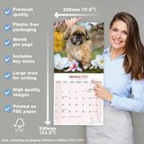 Otter House Shih Tzu Wall Calendar 2027