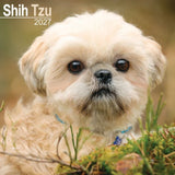 Otter House Shih Tzu Wall Calendar 2027