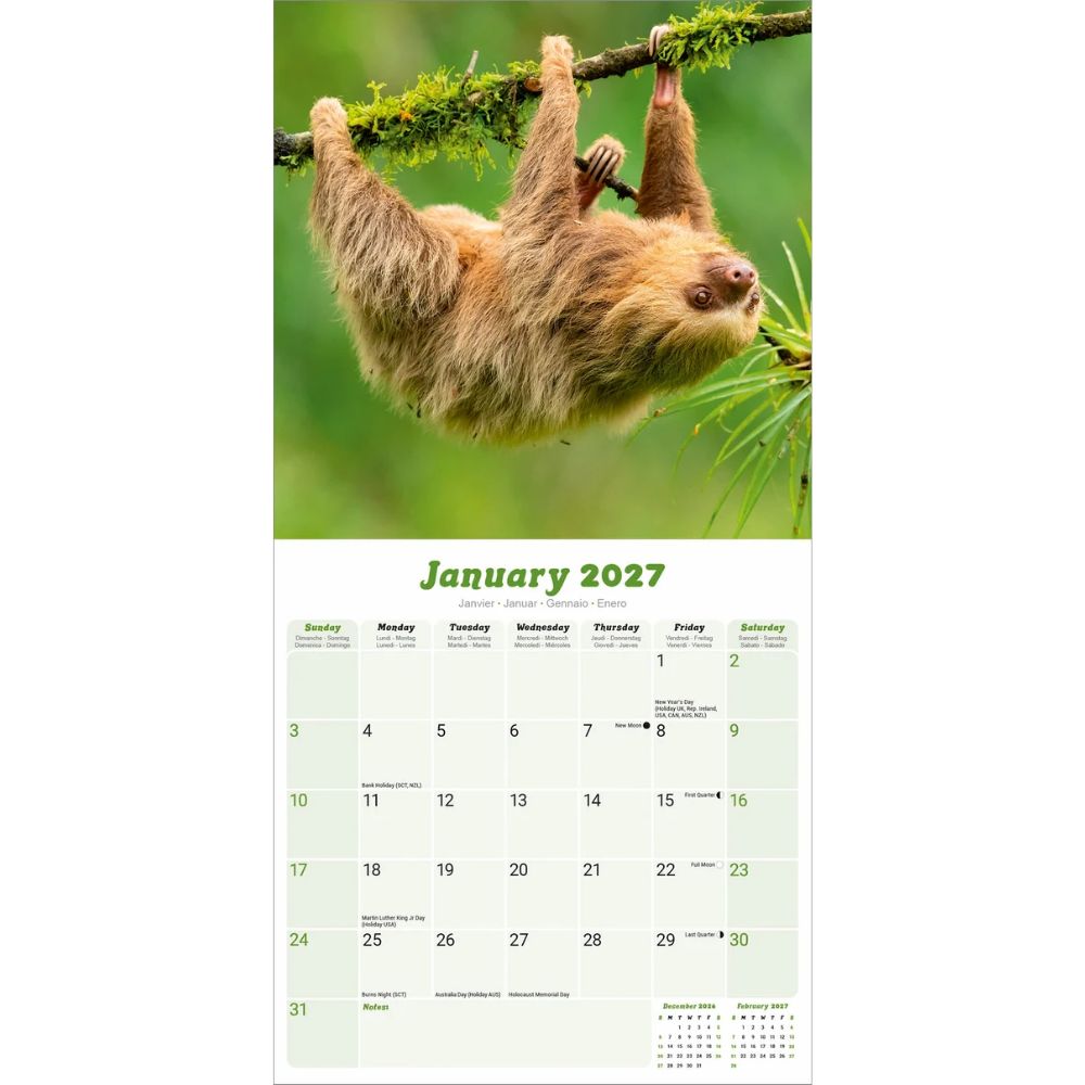 Otter House Sloths Wall Calendar 2027