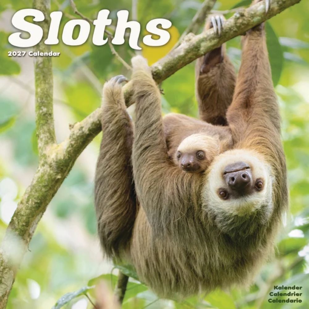 Otter House Sloths Wall Calendar 2027