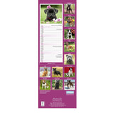 Otter House Staffordshire Bull Terrier Slim Calendar 2027