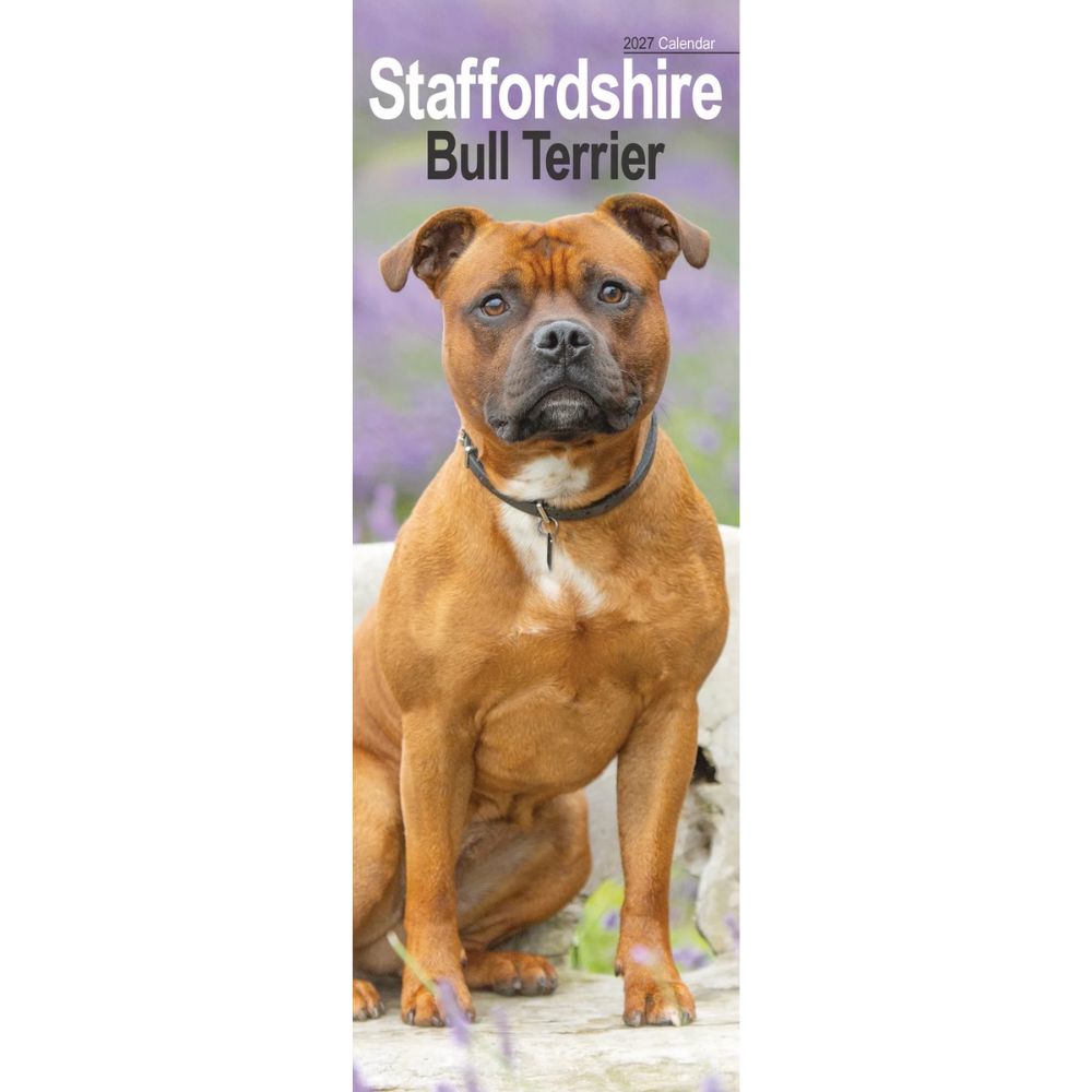 Otter House Staffordshire Bull Terrier Slim Calendar 2027