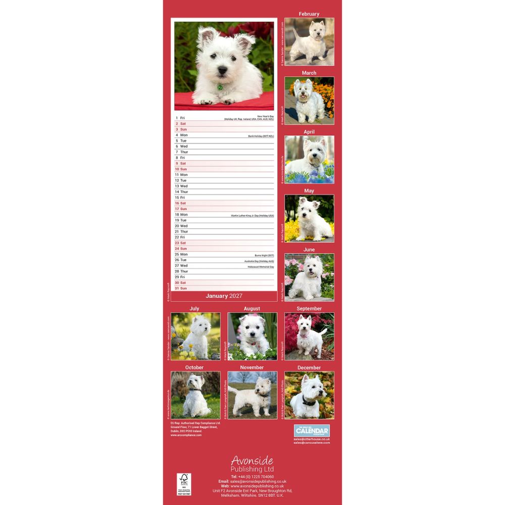 Otter House West Highland White Terrier Slim Calendar 2027