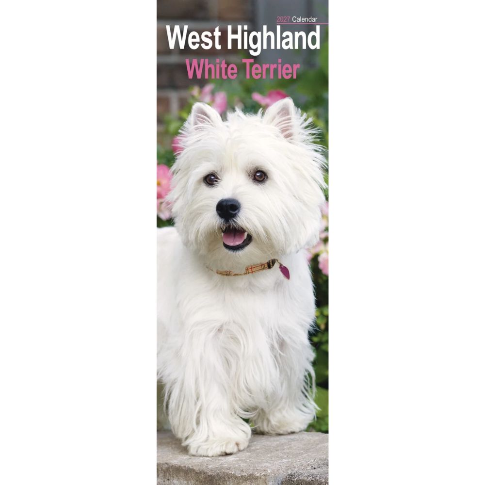 Otter House West Highland White Terrier Slim Calendar 2027