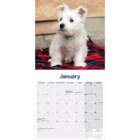 Otter House West Highland White Terrier Wall Calendar 2026