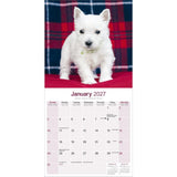 Otter House West Highland White Terrier Wall Calendar 2027