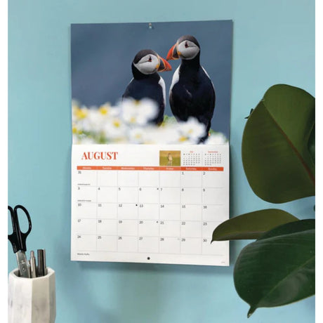 Otter House Wildlife of Britain A4 calendar 2026