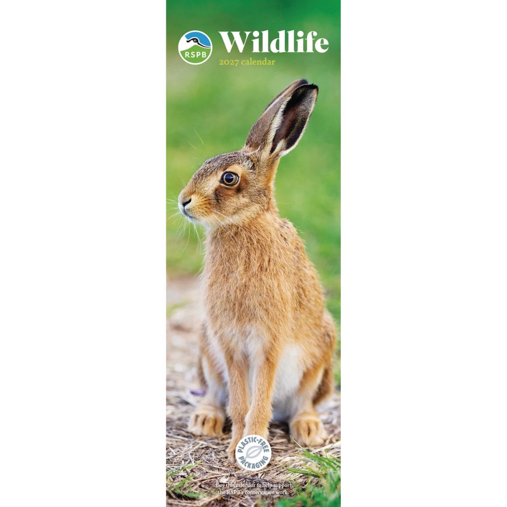 Otter House Wildlife RSPB Slim Calendar 2027
