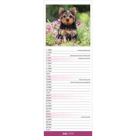 Otter House Yorkshire Terrier Slim Calendar 2026