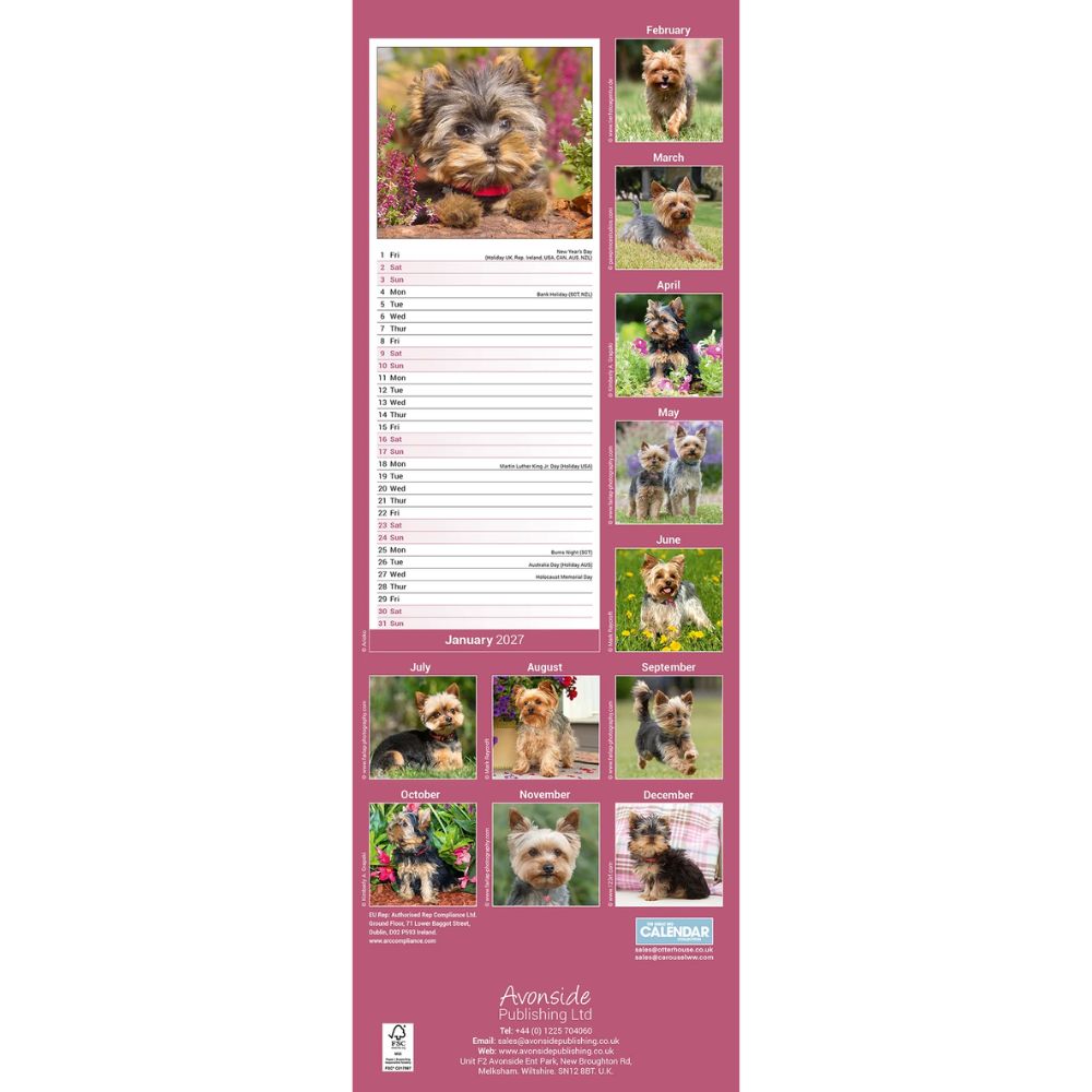 Otter House Yorkshire Terrier Slim Calendar 2027