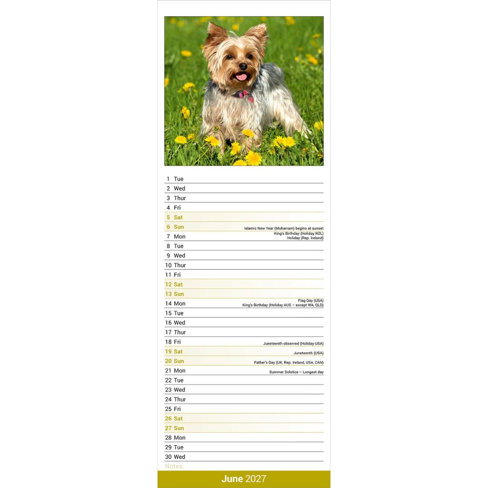 Otter House Yorkshire Terrier Slim Calendar 2027