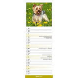 Otter House Yorkshire Terrier Slim Calendar 2027