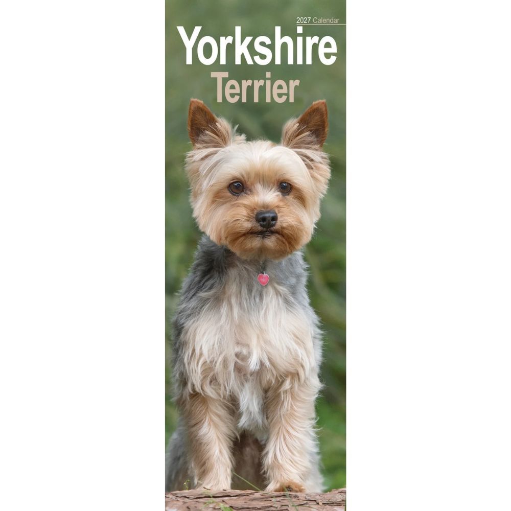 Otter House Yorkshire Terrier Slim Calendar 2027