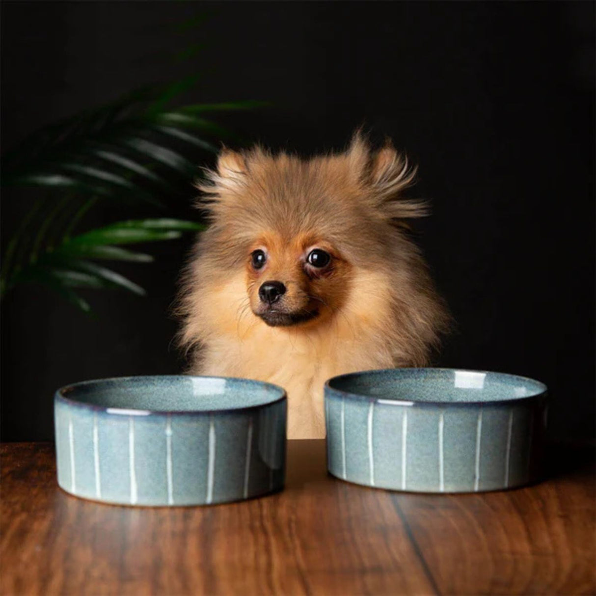 Scruffs 13cm Pinstripe Graphite Reactive Glaze Stoneware Food/Water Pet Bowl