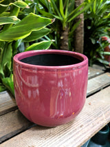 Mica Decorations 12cm Purple Pablo Round Pot