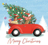 Giftmaker Festive Dachshunds Car/Xmas Pud Christmas Cards - 2 Designs - Pack of 10