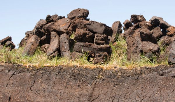 Peat Policy