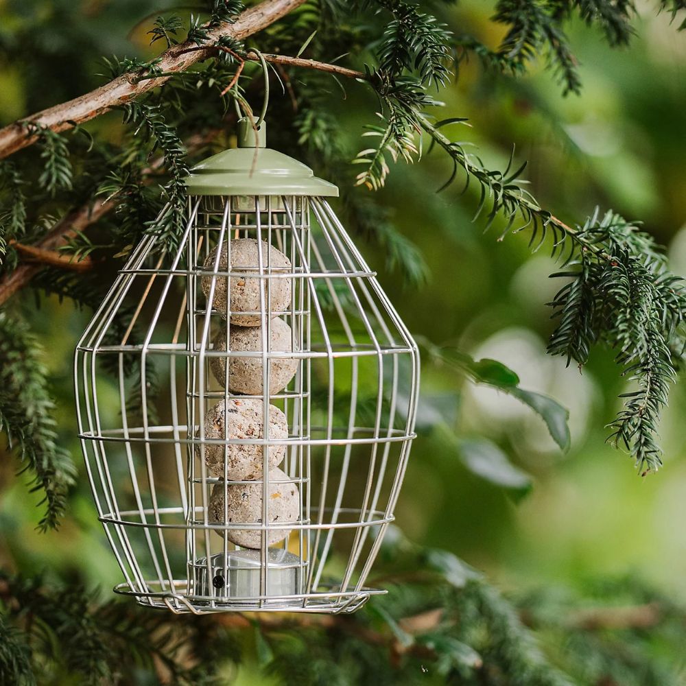 Peckish 27cm Canto Squirrel Proof Energy Ball Feeder