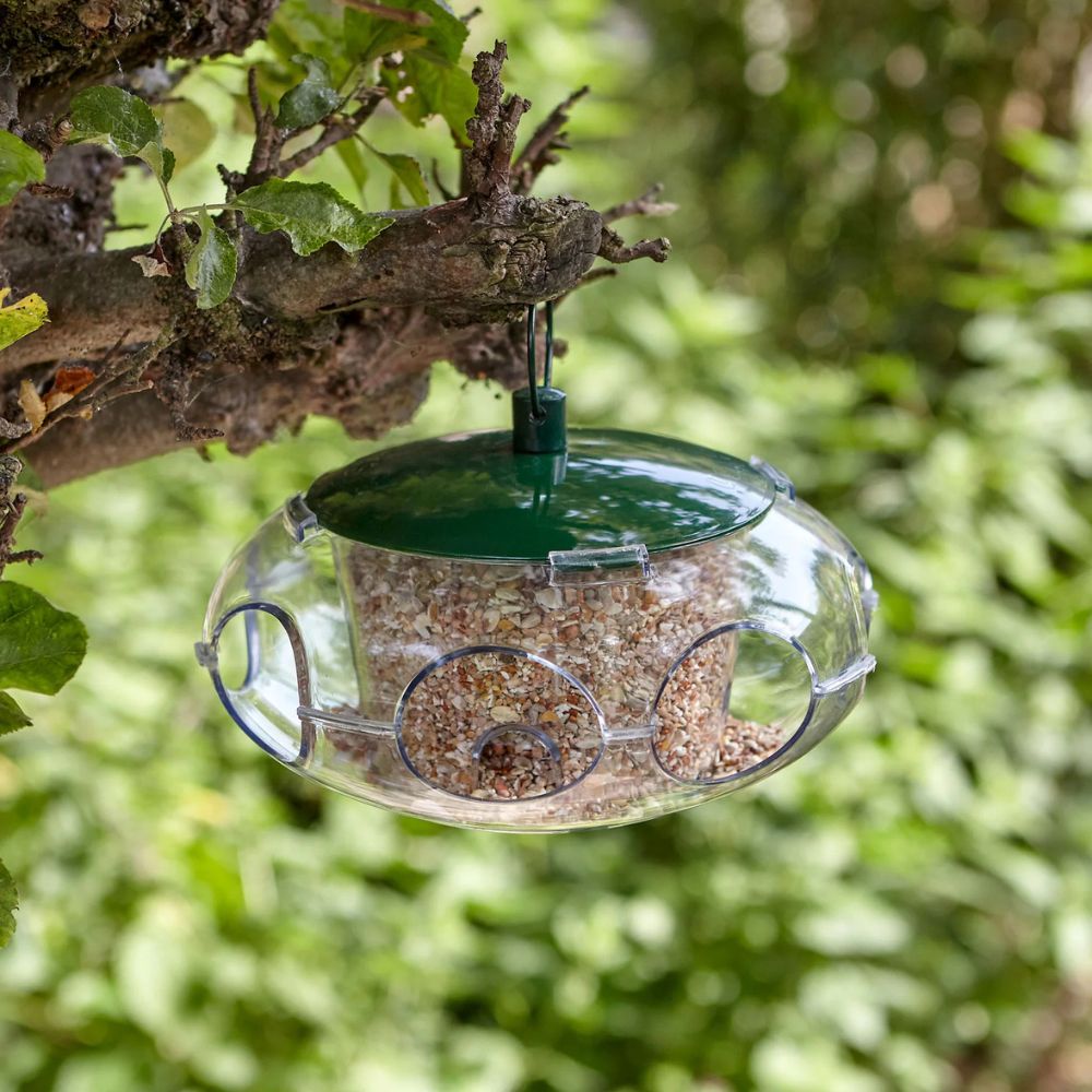 Peckish Small Bird Seed Feeder