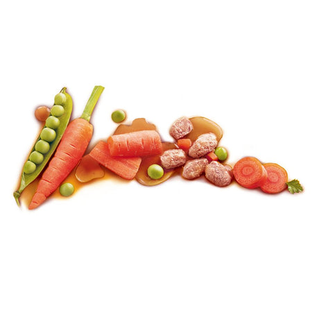 Pedigree Adult Dog Pouch 40x100 Megapack Mixed Selection