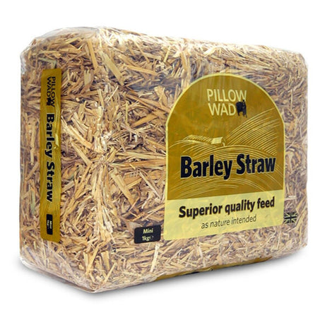 Pillow Wad 1kg Small Straw Bale - Old Railway Line Garden Centre