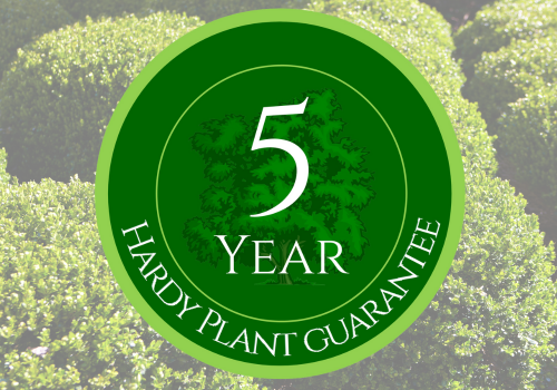 5 Year Hardy Plant Guarantee