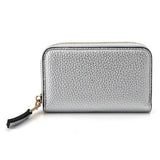 POM Silver Mini Purse - Old Railway Line Garden Centre