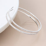 POM Silver Plated Elegant Crystal Hoop Earrings - Old Railway Line Garden Centre