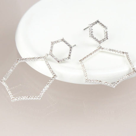 POM Silver pPated Double Crystal Hexagon Earrings - Old Railway Line Garden Centre