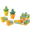 Pop Up Squeeze Cactus (Choice of 2) - Old Railway Line Garden Centre