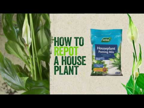 Westland 8L Peat Free Houseplant Potting Mix