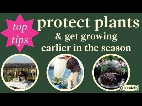 Haxnicks Giant Easy Fleece Tunnel