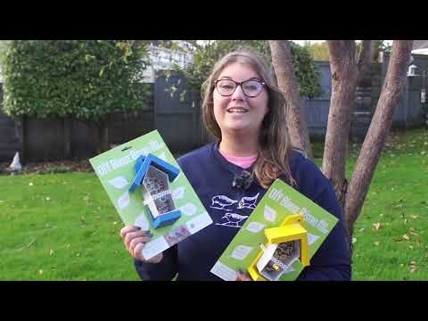 Dan Rouse Red Birdie Bistro Bird Feeder