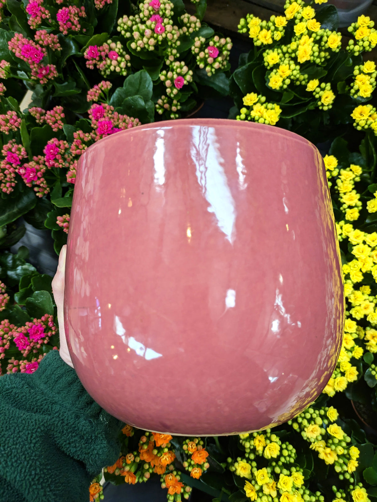 Mica Decorations 14cm Purple Pablo Round Pot