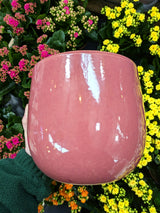 Mica Decorations 20cm Purple Pablo Round Pot