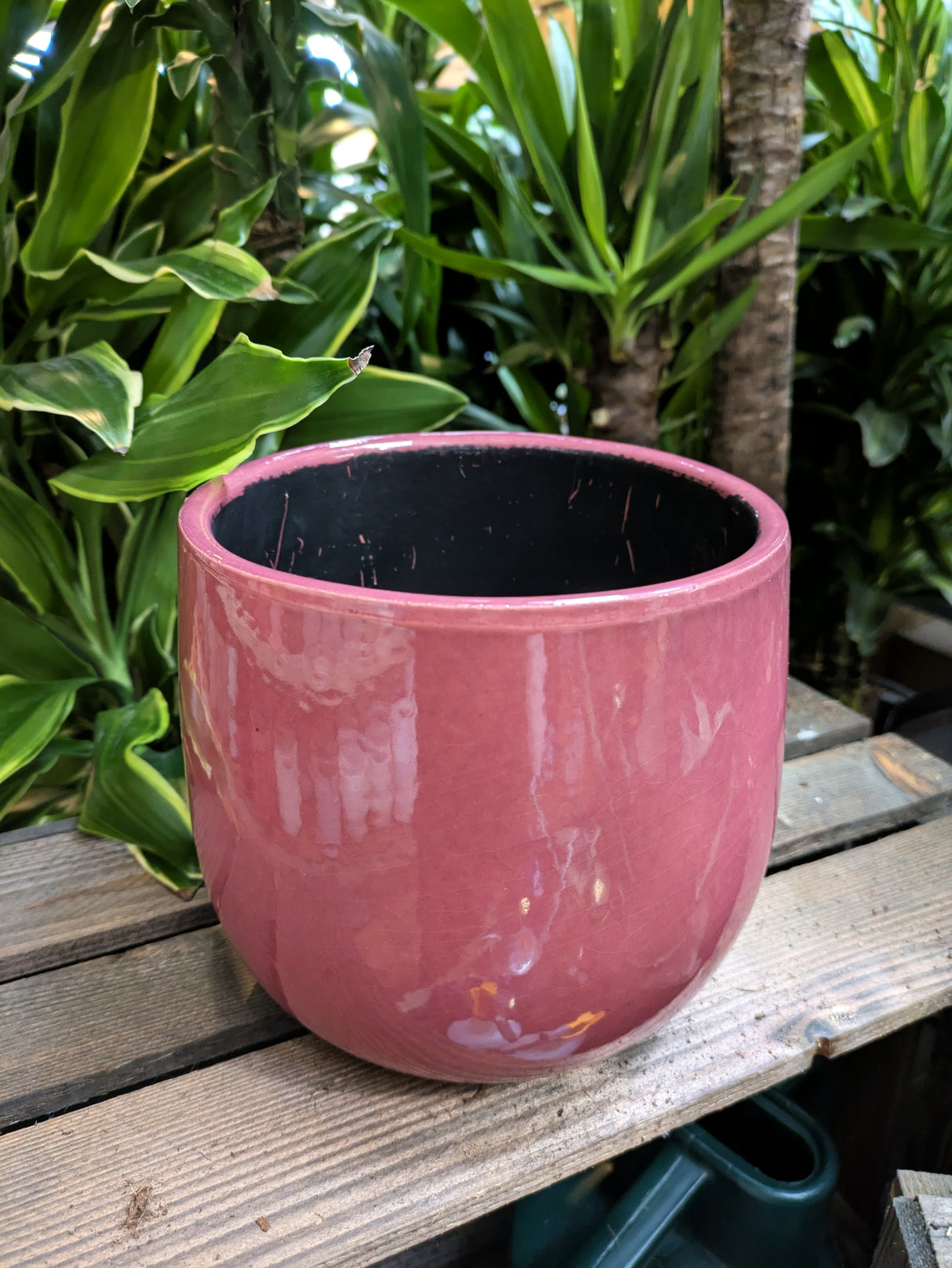 Mica Decorations 14cm Purple Pablo Round Pot