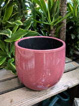 Mica Decorations 20cm Purple Pablo Round Pot